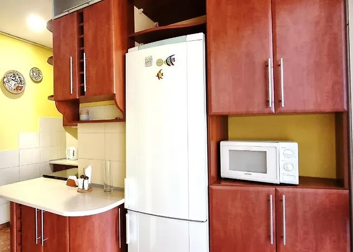 Cozy Apartamento Leópolis